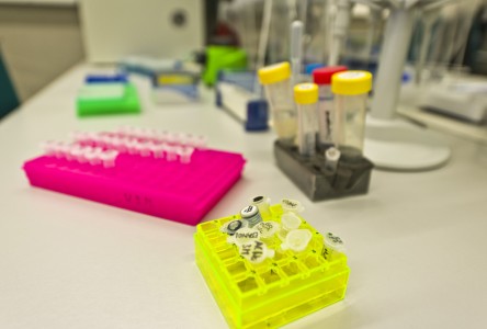 Unidad de Biología Molecular - Enlaces