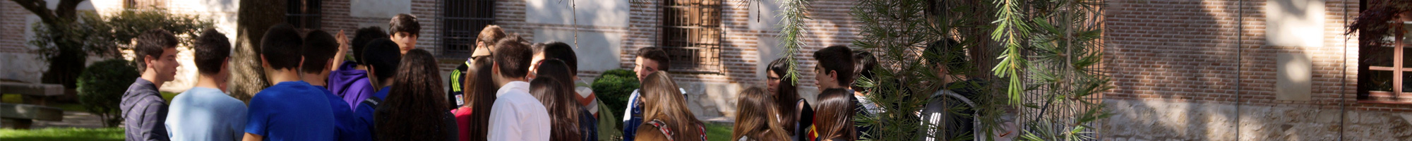 Alumnos estudiando selectividad para acceder a la Universidad de Alcalá 