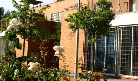 Ciudad Residencial Universitaria (Campus Village)